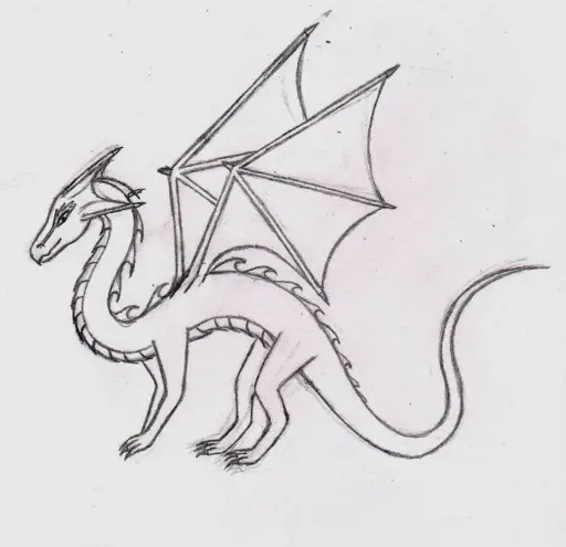 IMAGE0001.webp