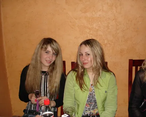 Crazy zoo.webp