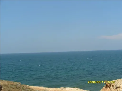 more2.webp