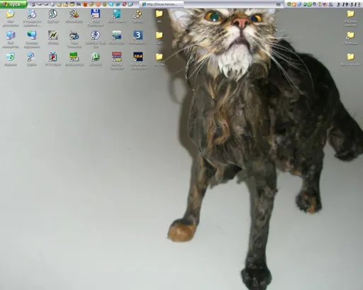 Безымянный.webp