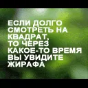 15335187vu6.webp