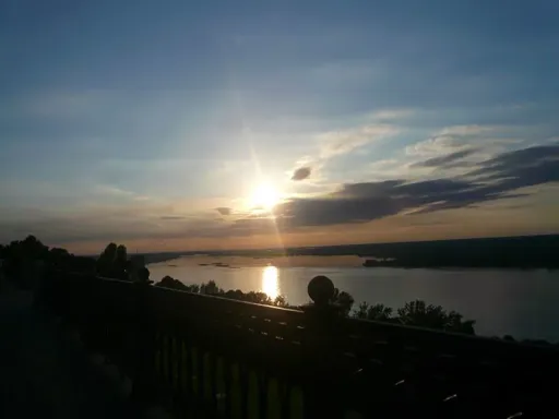 P1010930.webp